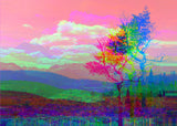 "Standing Alone" Canvas Prints | by Alex Clifford and Sadie Young