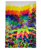 "Auspicious Escape #1" Acrylic Print | by Alex Clifford and Sadie Young