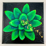 "Little Jewel" |  By: Hollie Suisse