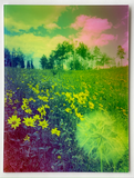"Make A Wish" Acrylic Print | by Alex Clifford and Sadie Young