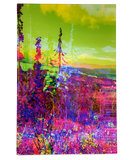 "Phoenix Rising" Acrylic Print | by Alex Clifford and Sadie Young