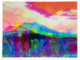 "Tangerine Dream" Acrylic Print   | by Alex Clifford and Sadie Young